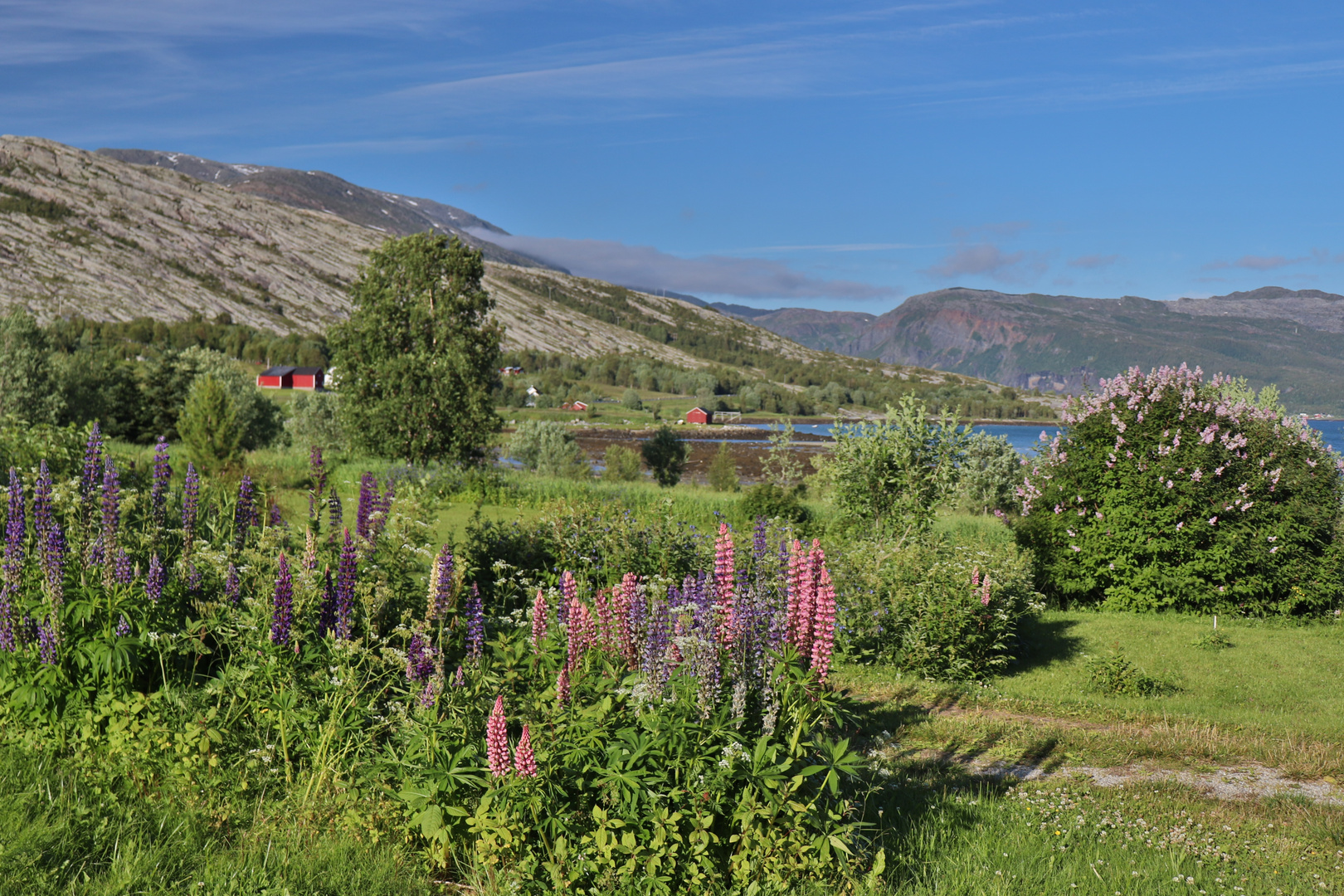 Sommer in Nordland