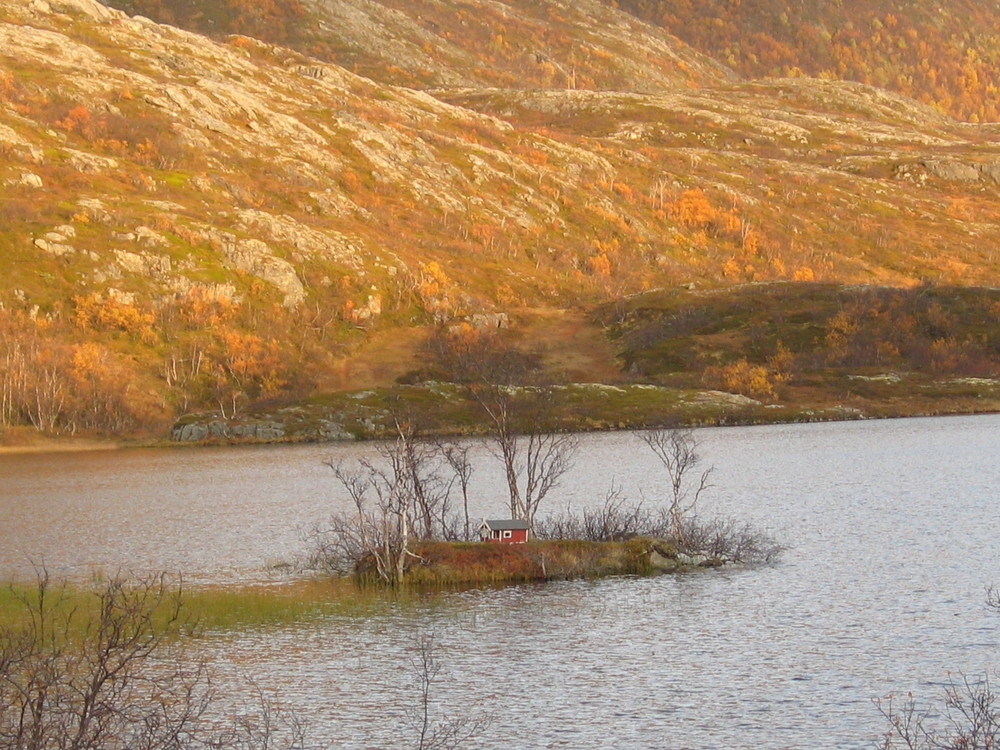 Sommer in Norge