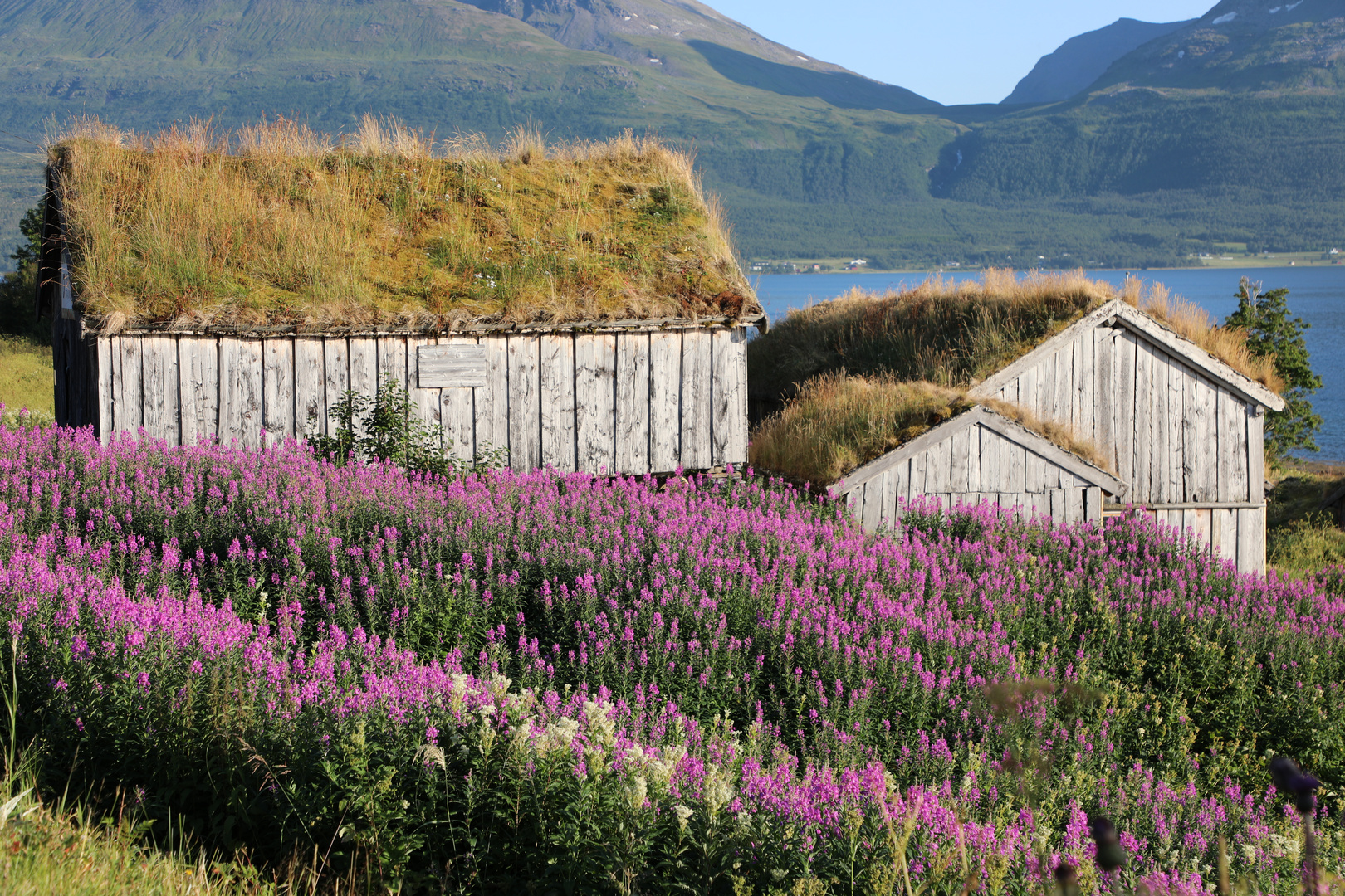 Sommer in Norwegen 