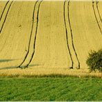 Sommer in Nursch 2010 (2)