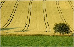 Sommer in Nursch 2010 (2)