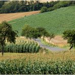 Sommer in Nursch