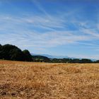 Sommer in Oberbayern