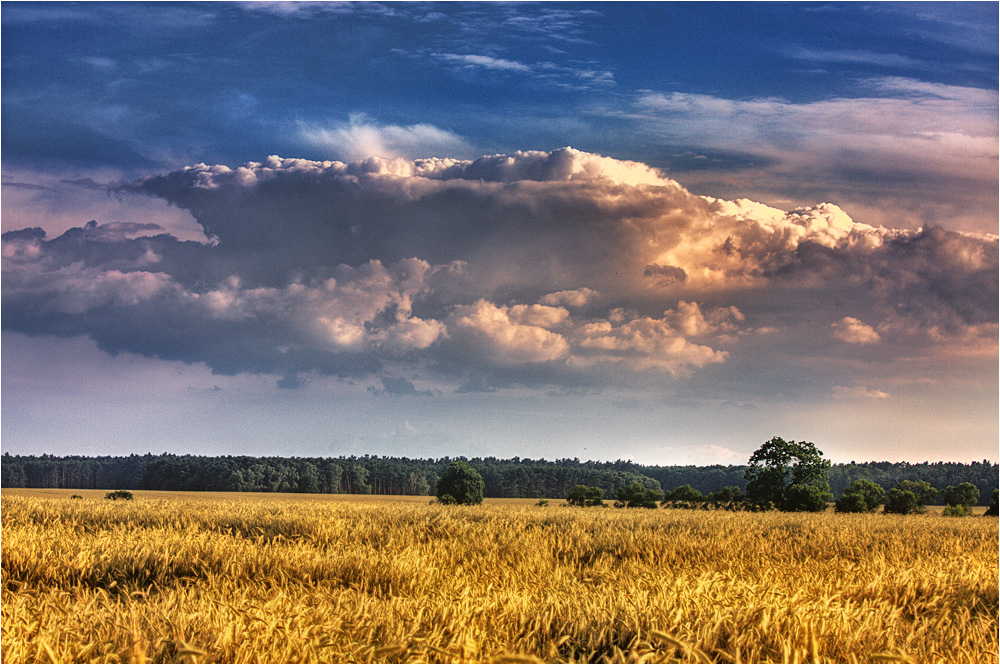 Sommer in Oberkrämer.