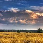 Sommer in Oberkrämer.