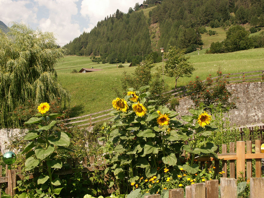 Sommer in Obermauern