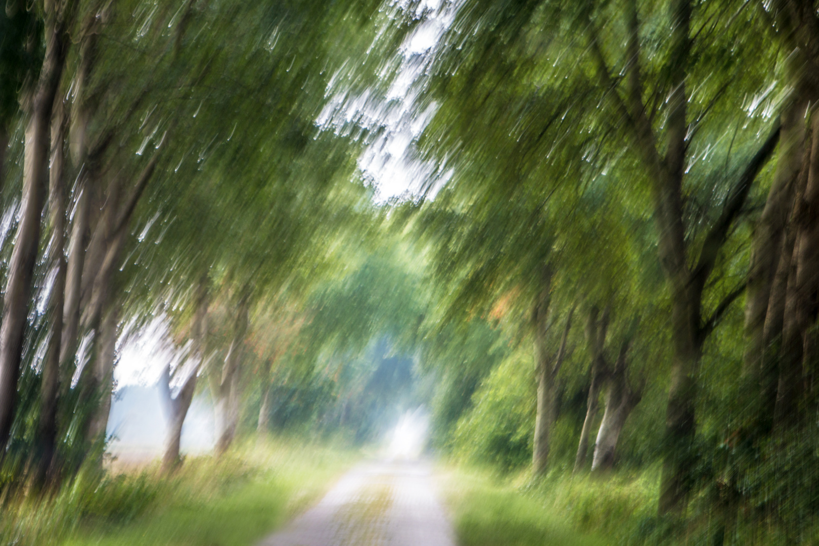 Sommer in Ostfriesland