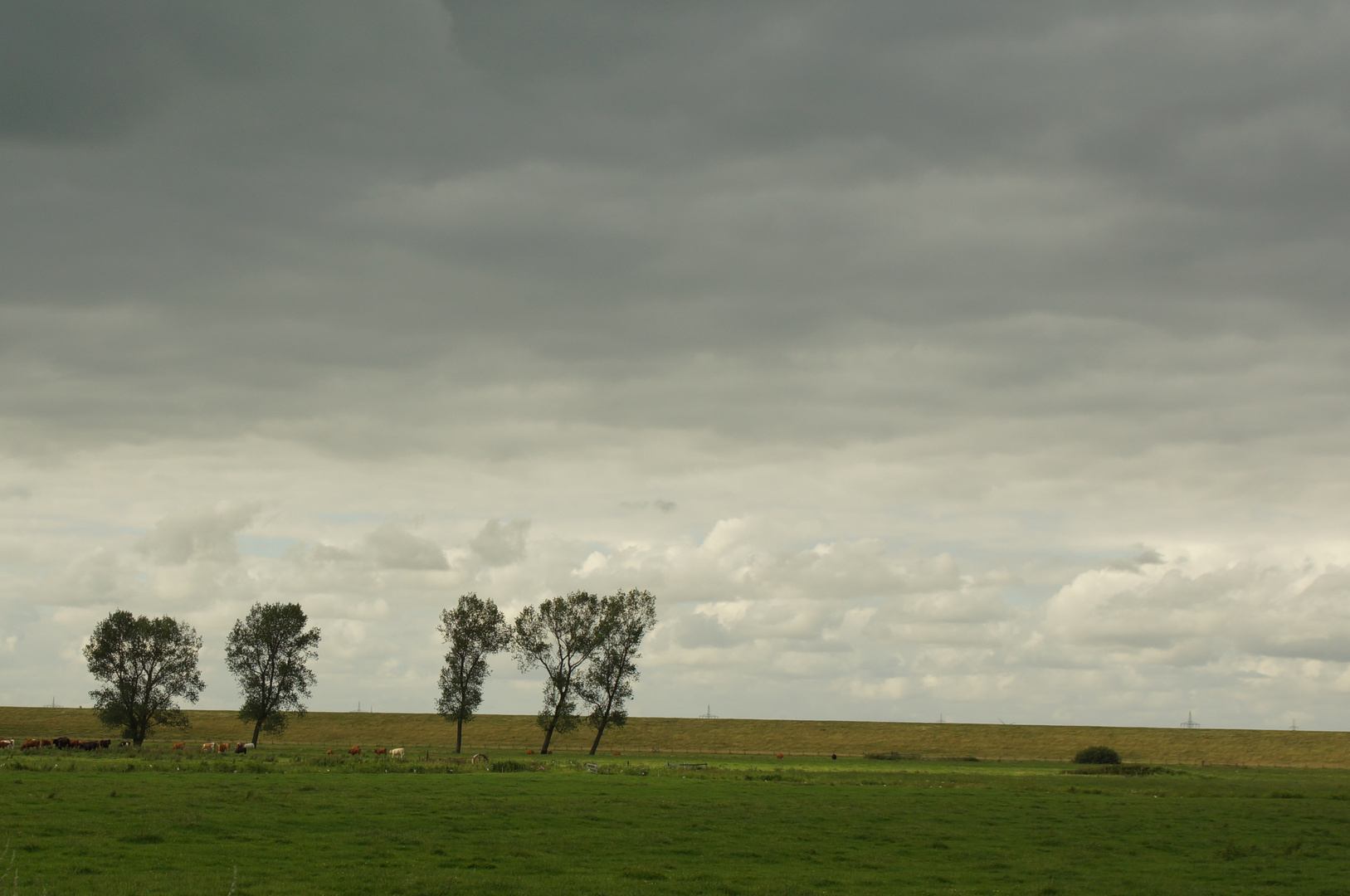 Sommer in Ostfriesland