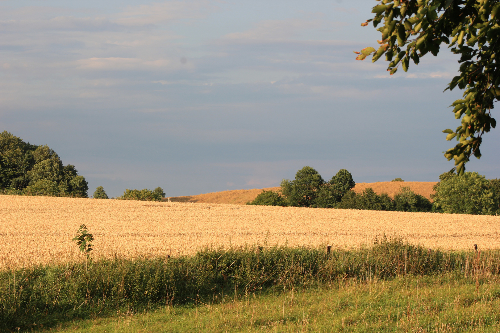 Sommer in Ostholstein