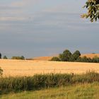 Sommer in Ostholstein