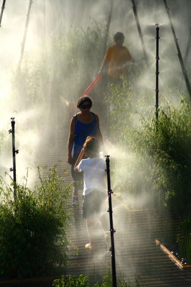 SOMMER IN PARIS