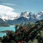 SOMMER IN PATAGONIEN