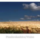 Sommer in Pembrokeshire, Wales