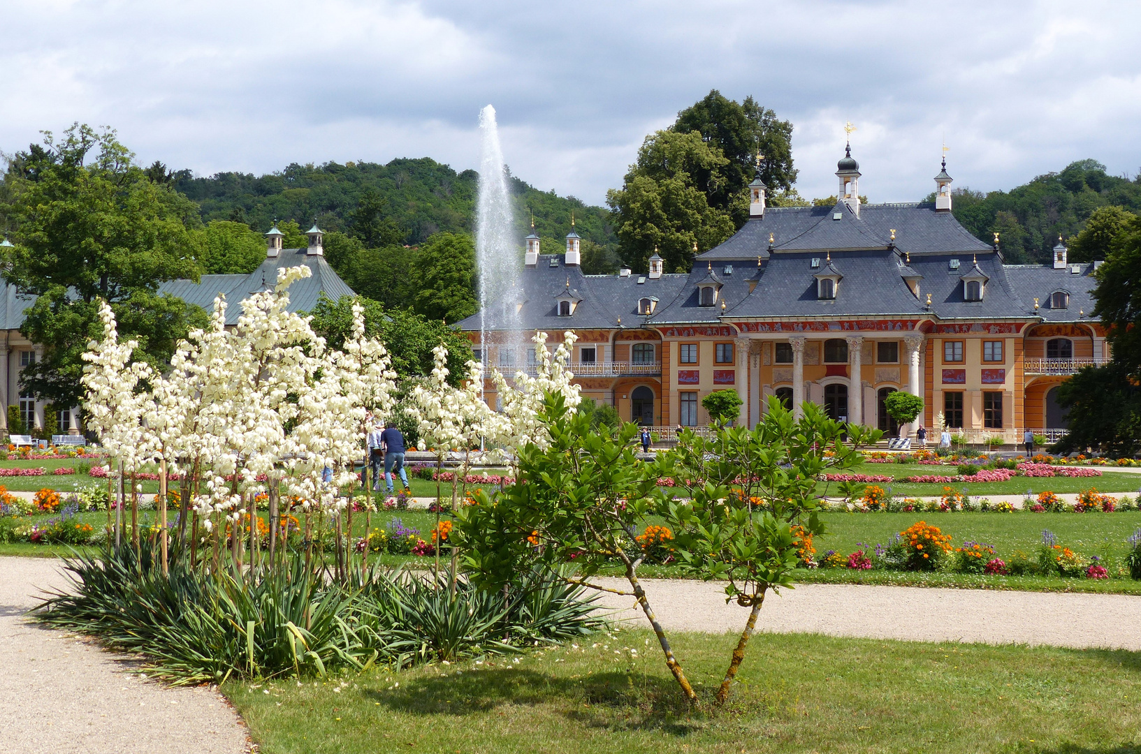 Sommer in Pillnitz