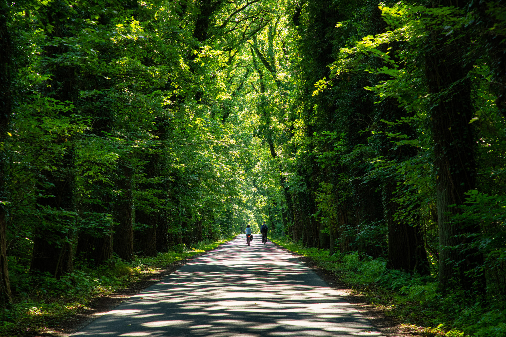 Sommer in Plön