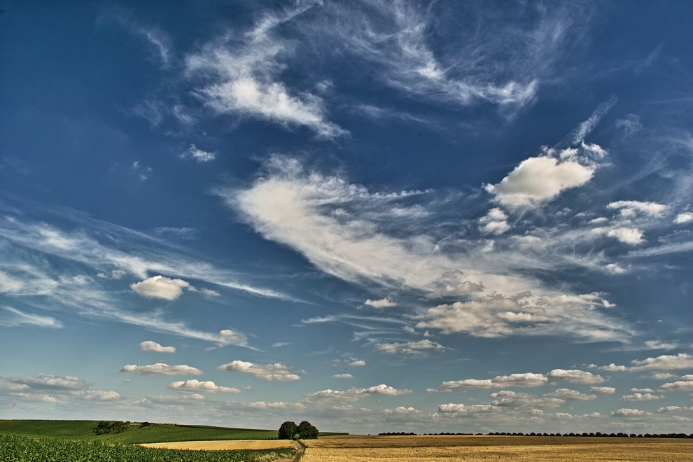 Sommer in Rheinhessen