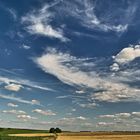 Sommer in Rheinhessen