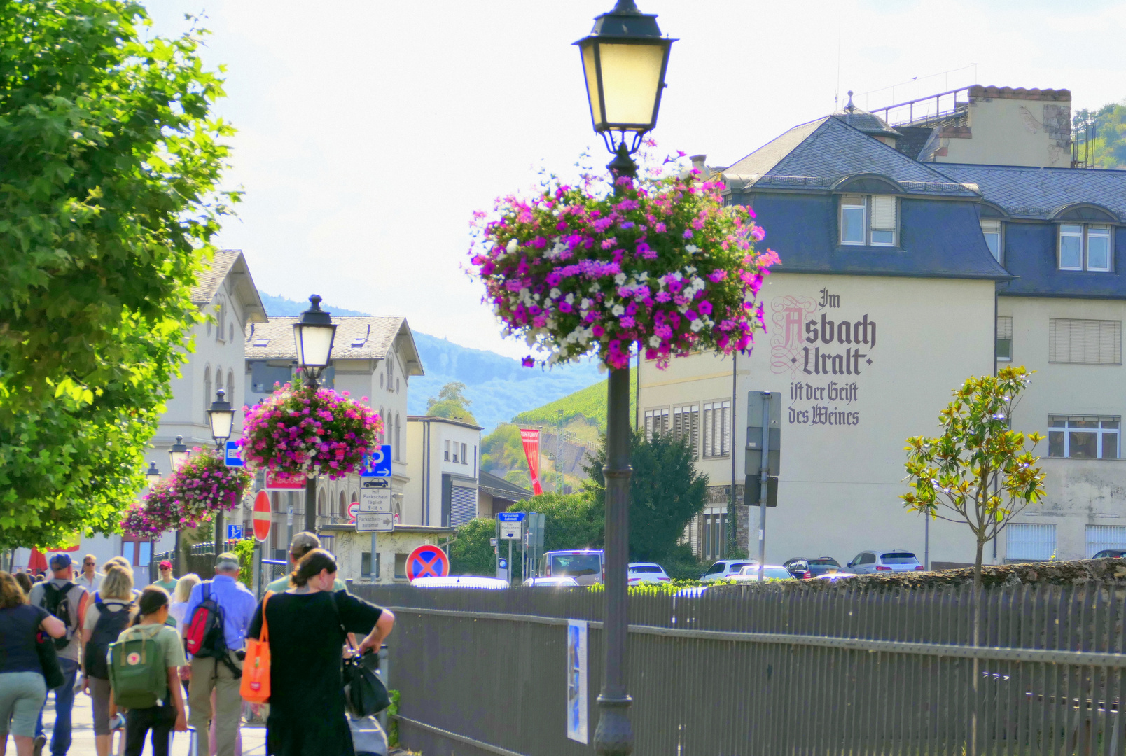 Sommer in Rüdesheim I / 4