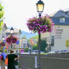 Sommer in Rüdesheim I / 4