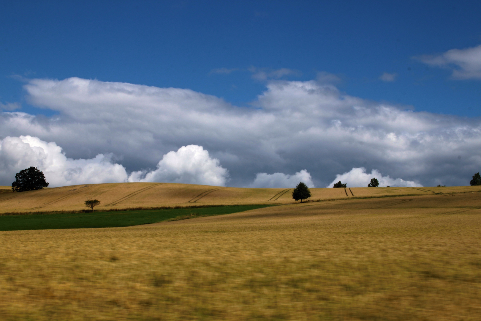 Sommer in Sachsen