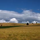 Sommer in Sachsen