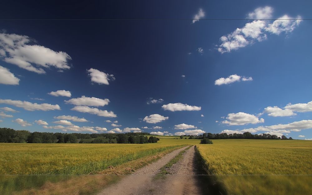 Sommer in Sachsen