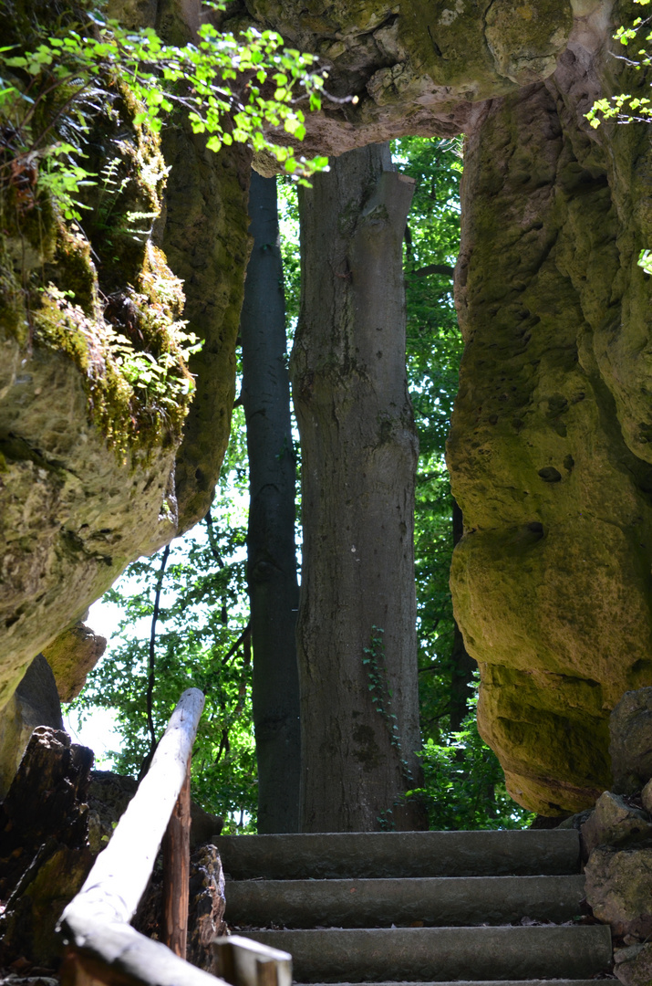 Sommer in Sanspareil 05