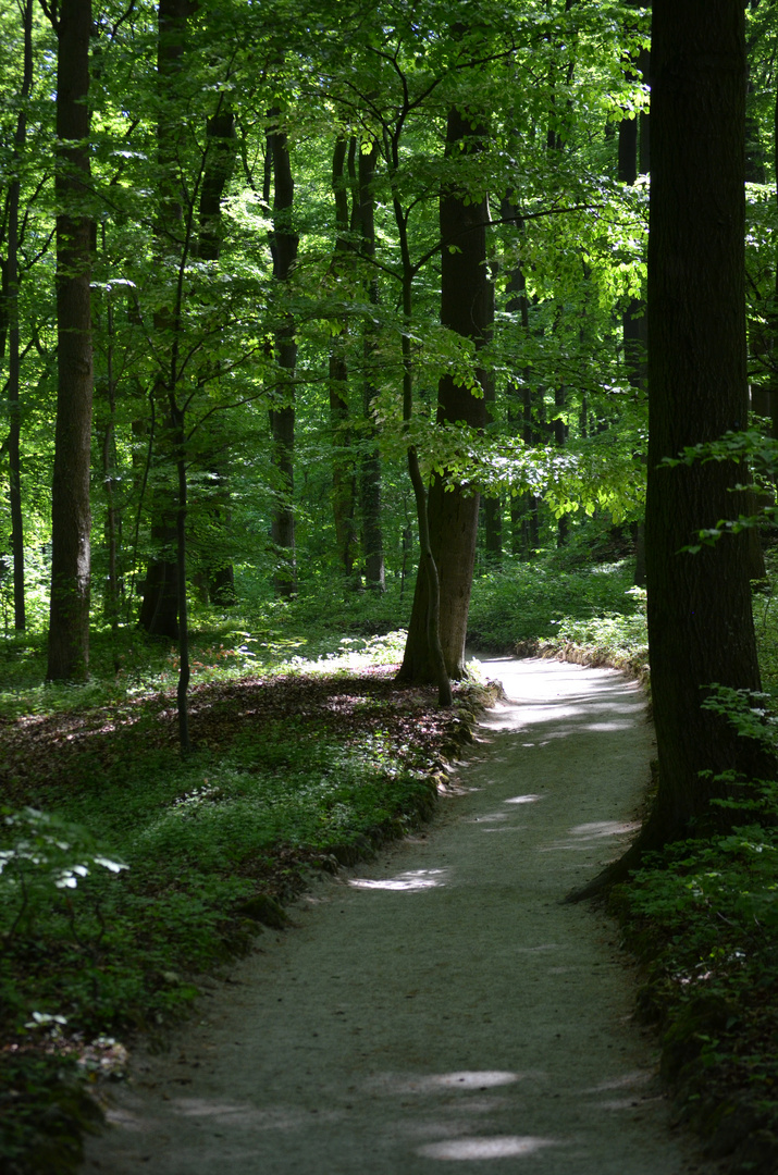 Sommer in Sanspareil