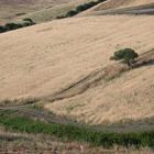 Sommer in Sardinien...