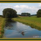 Sommer in Schleswig-Holstein