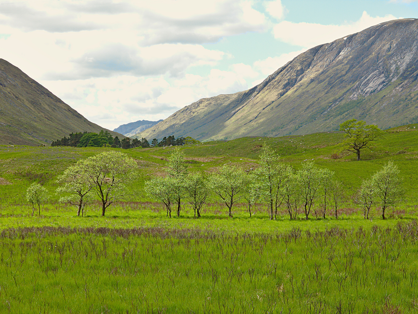 Sommer in Schottland