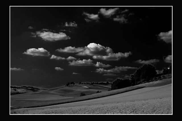 Sommer in Schwarz Weiß