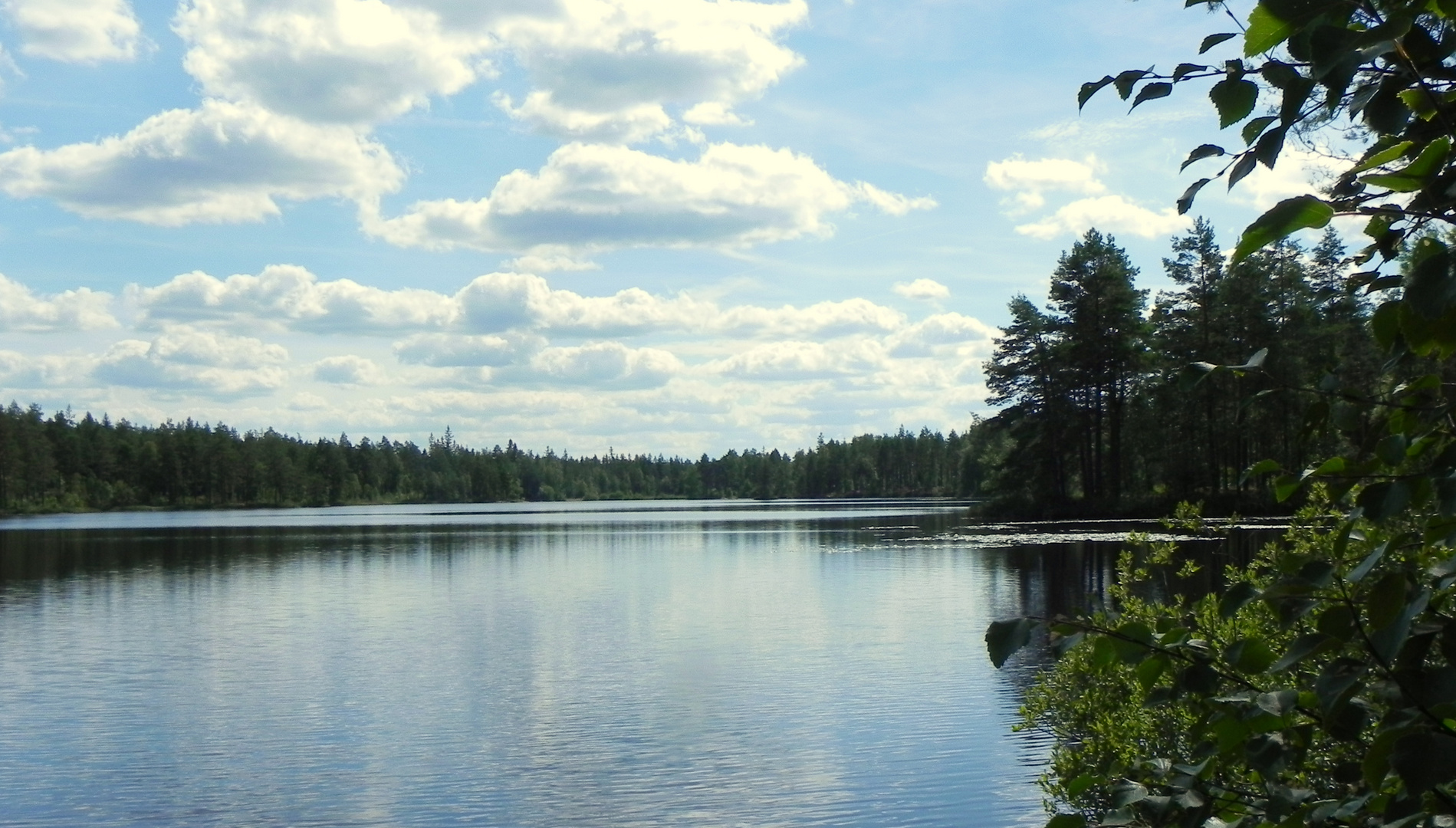 Sommer in Schweden 1