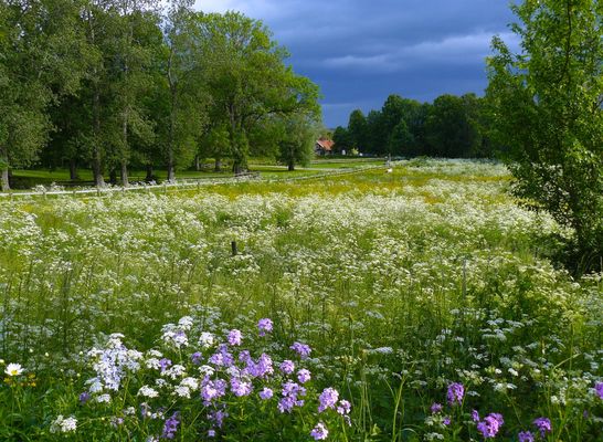 Sommer in Schweden