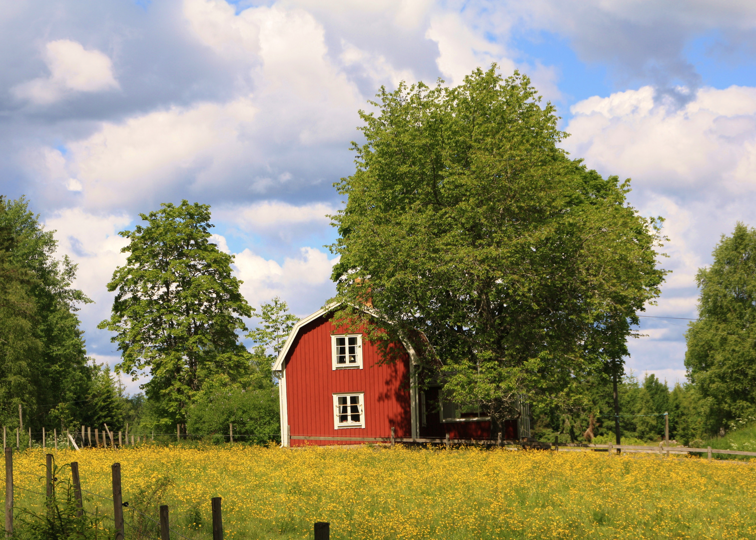 Sommer in Schweden