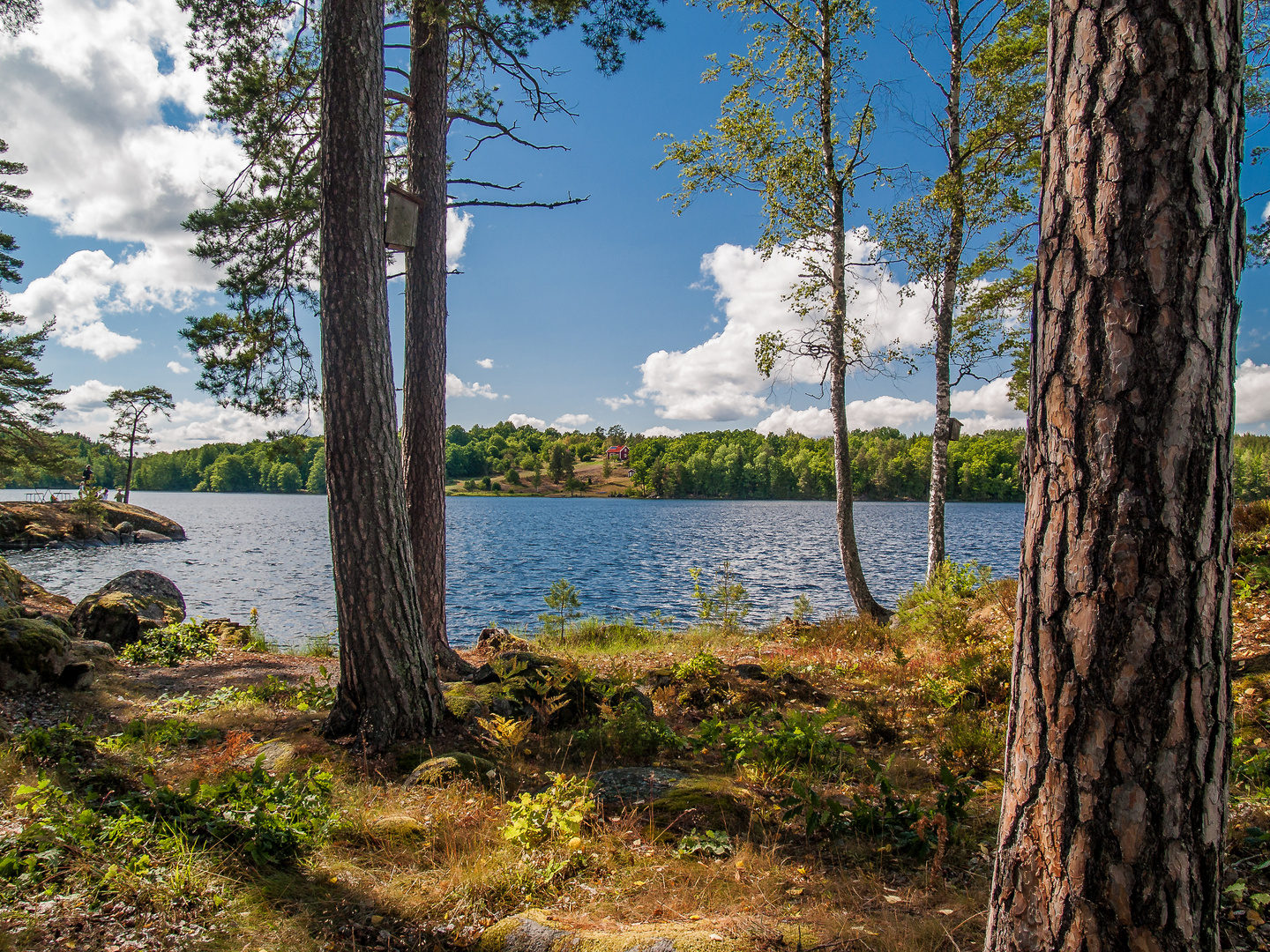 Sommer in Schweden