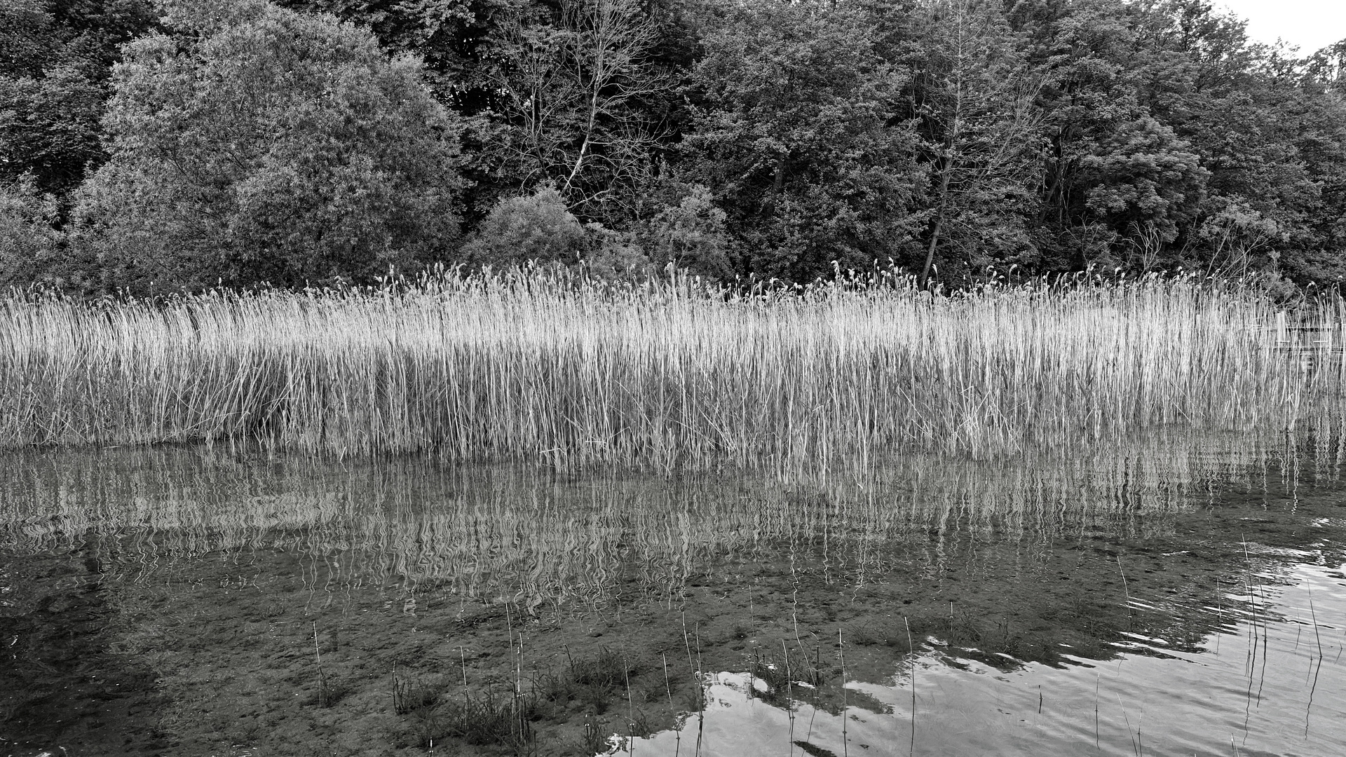 Sommer in Schwerin