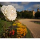 Sommer in Schwerin