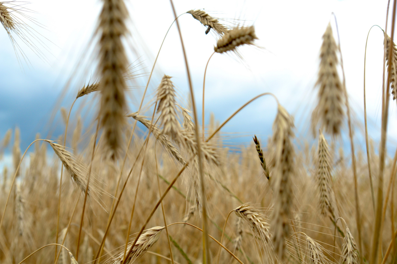 sommer in seeburg