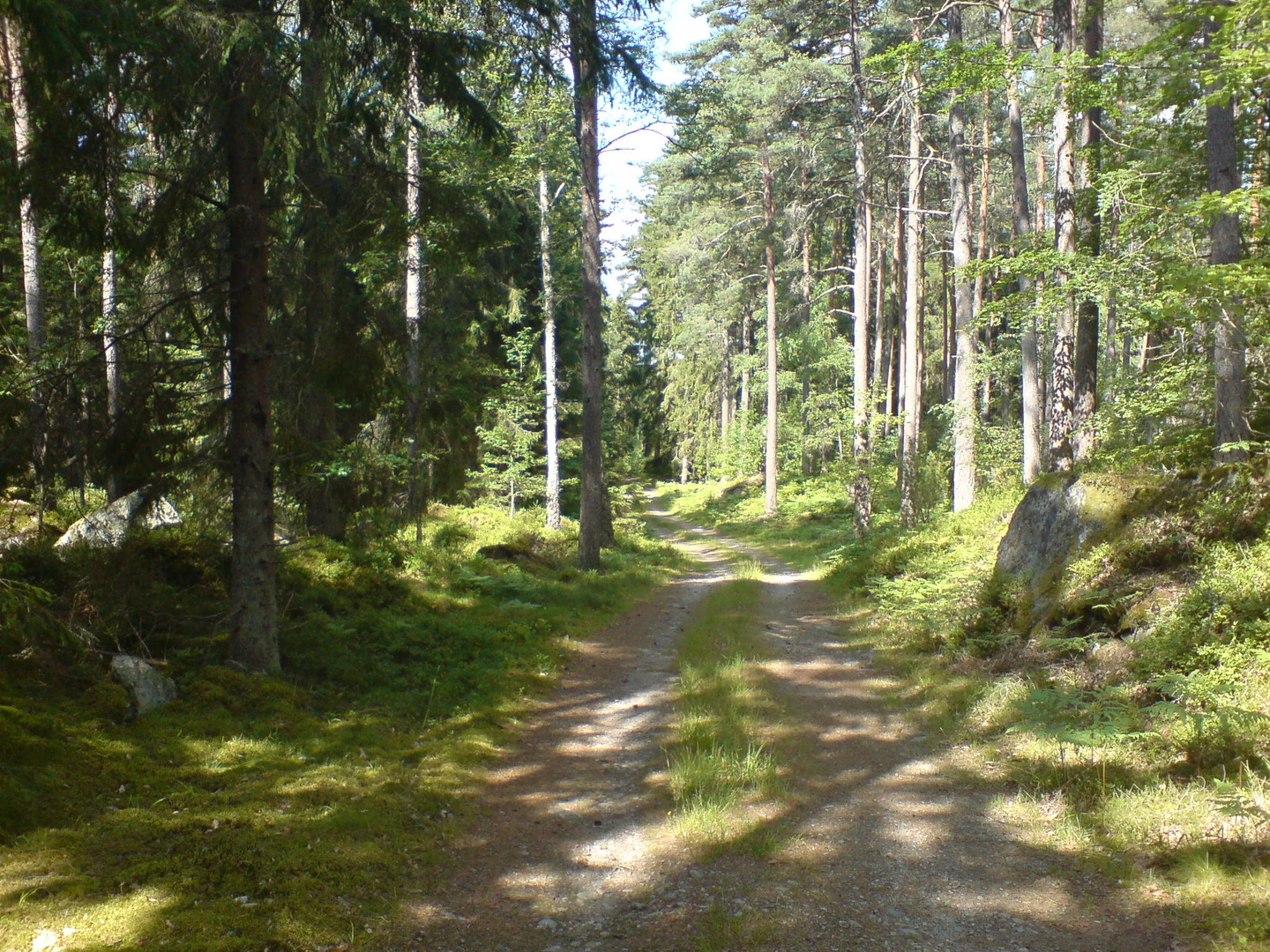 Sommer in Südschweden