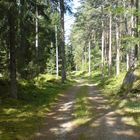 Sommer in Südschweden