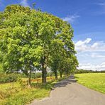 Sommer in Südwestfalen