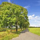 Sommer in Südwestfalen