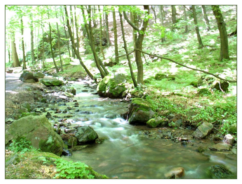 Sommer in Thüringen