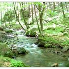 Sommer in Thüringen