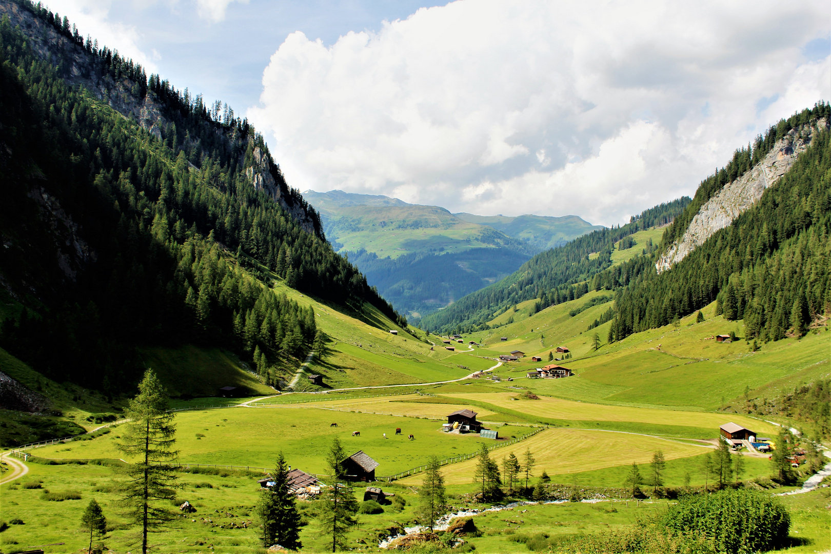 Sommer in Tirol