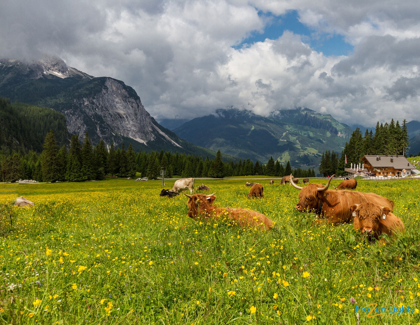 Sommer in Tirol