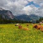 Sommer in Tirol