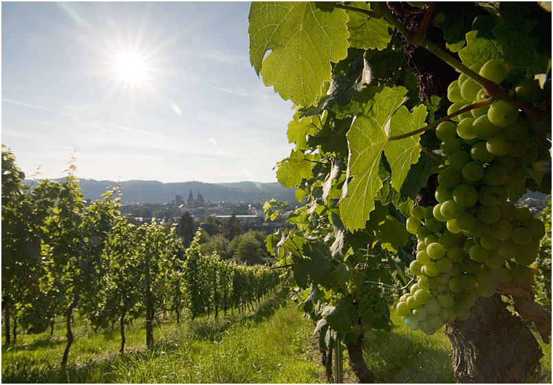 Sommer in Trier