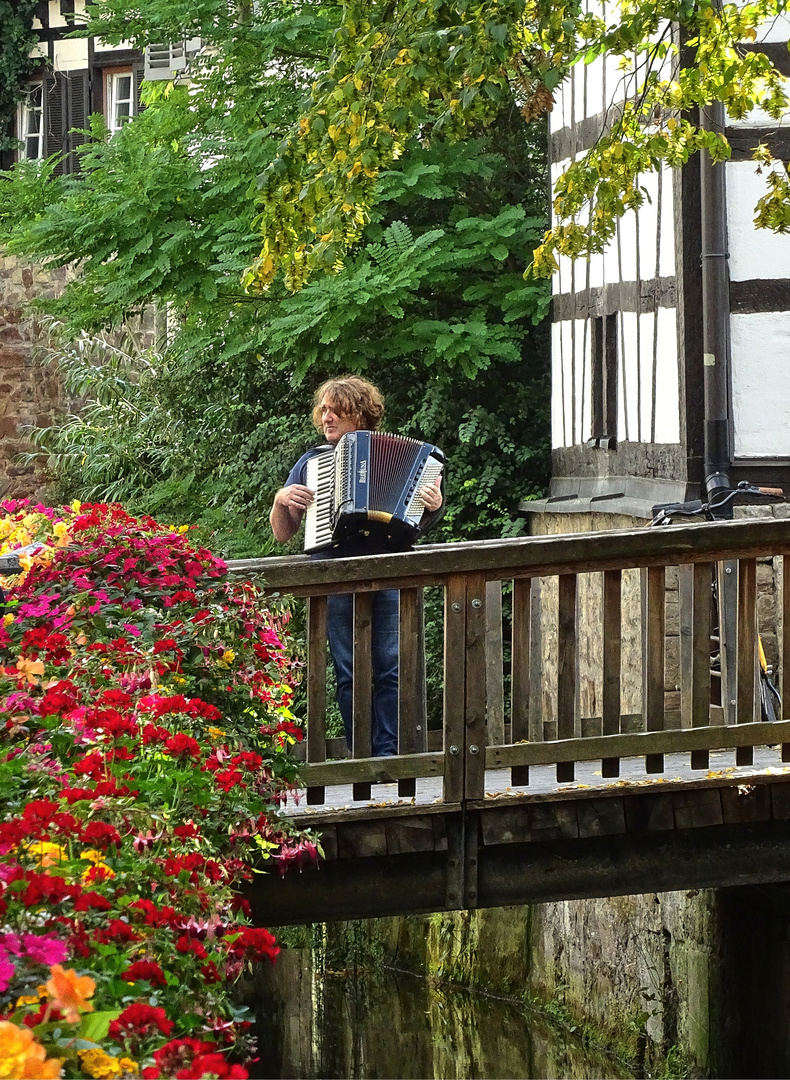 Sommer in Tübingen